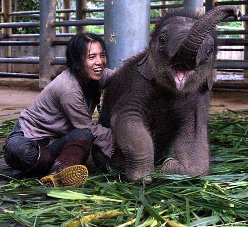 Elephant Nature Park