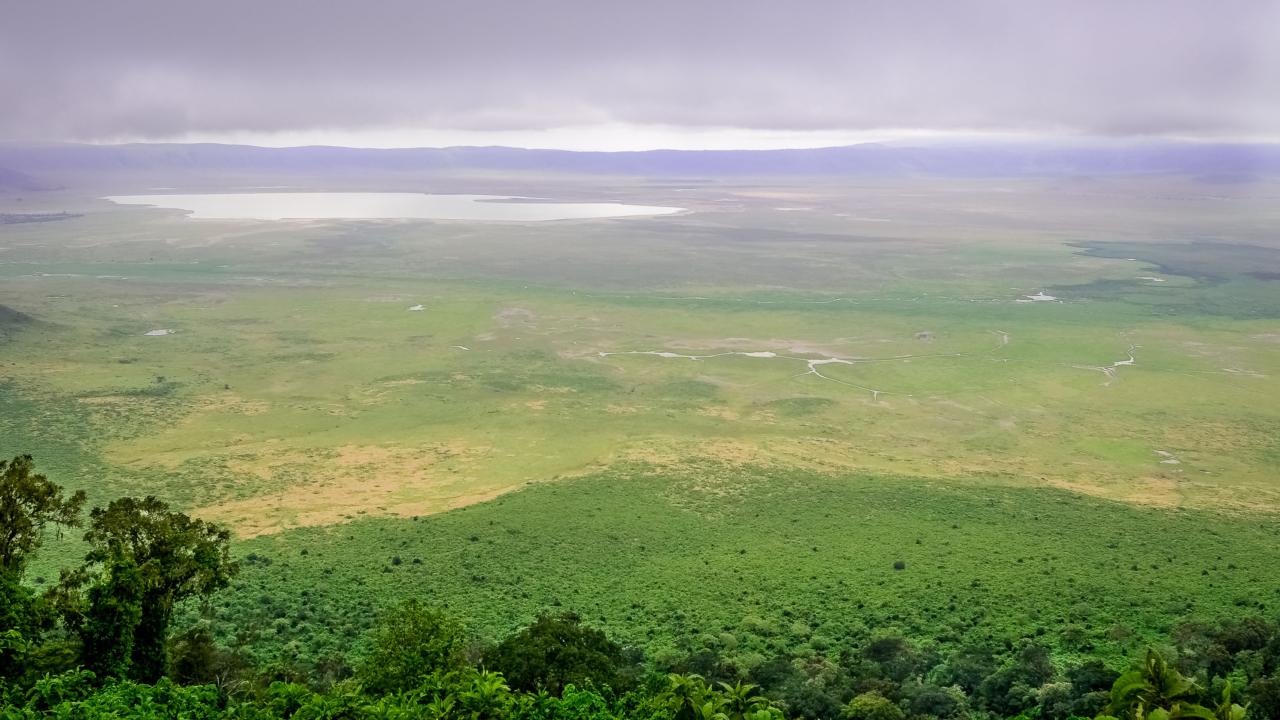 Ngorongoro