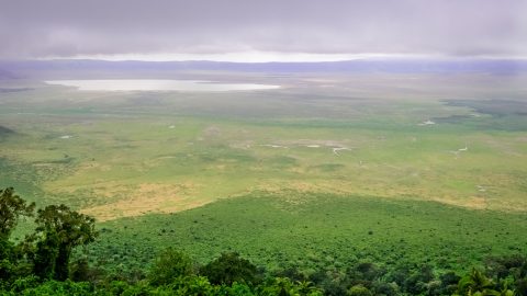 Ngorongoro