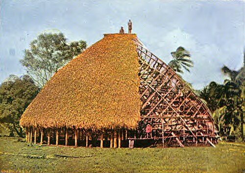 Local food and drinks - Falealupo