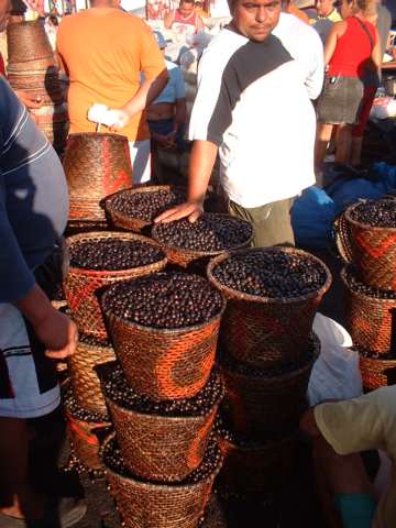 Feira do Açaí