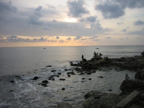 Bocas de Ceniza
